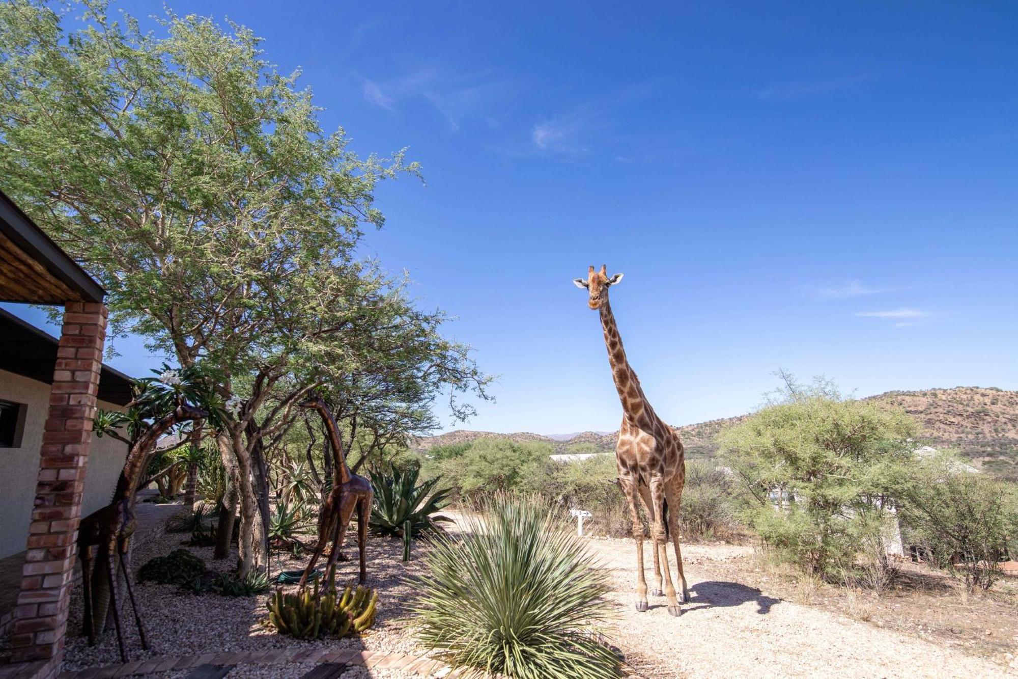 Windhoek Game Camp Villa Lafrenz Township Exterior photo