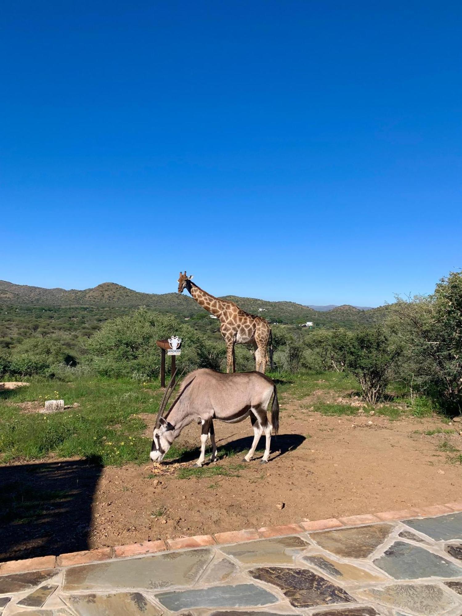 Windhoek Game Camp Lafrenz Township Exterior photo